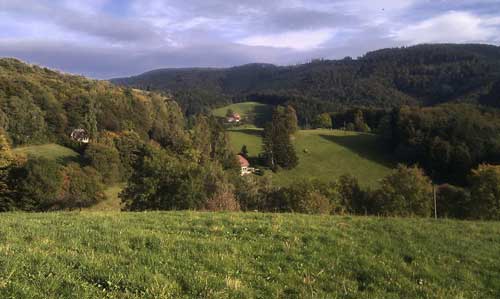 Schwarzwald